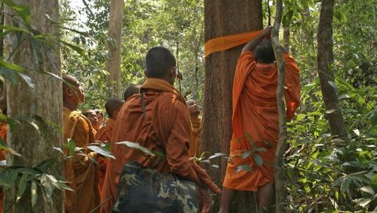 In the forest, a group of monks tie saffron cloth around tree trunks while chanting a centuries-old Buddhist chant still relevant today. It is a chant of compassion, pity, and love and of a divinity that does not exist in a temple but in the forests that the monks and the villagers both call their home. Image by Kalyanee Mam. Cambodia, 2014.